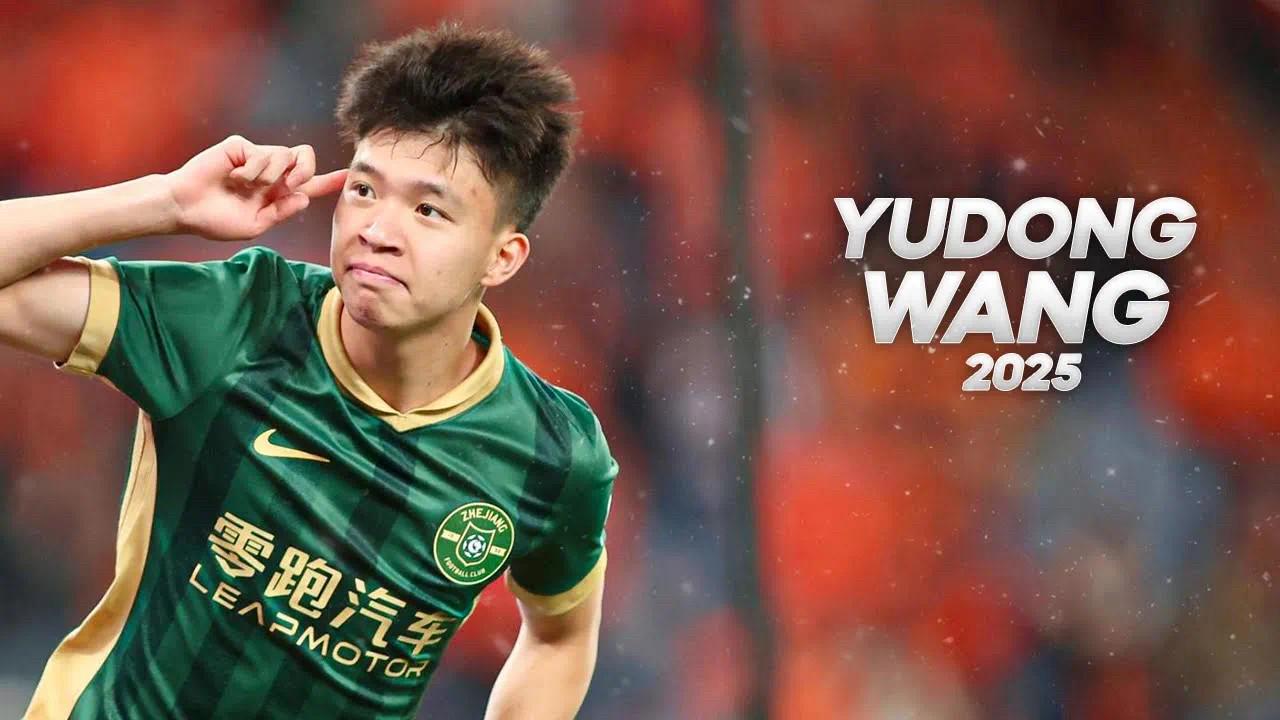 站巴西球探, 在球员介绍