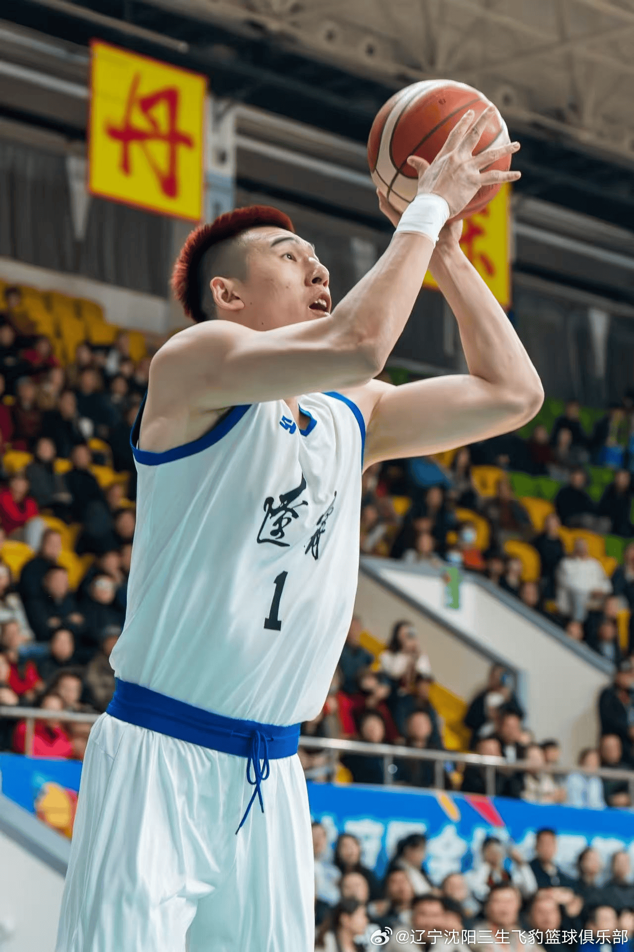 tenan, entit, 大胜山东